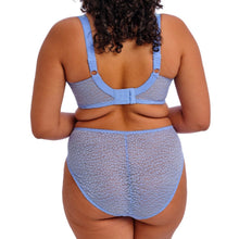 Load image into Gallery viewer, Elomi Lucie Stretch Plunge Bra In Cornflower